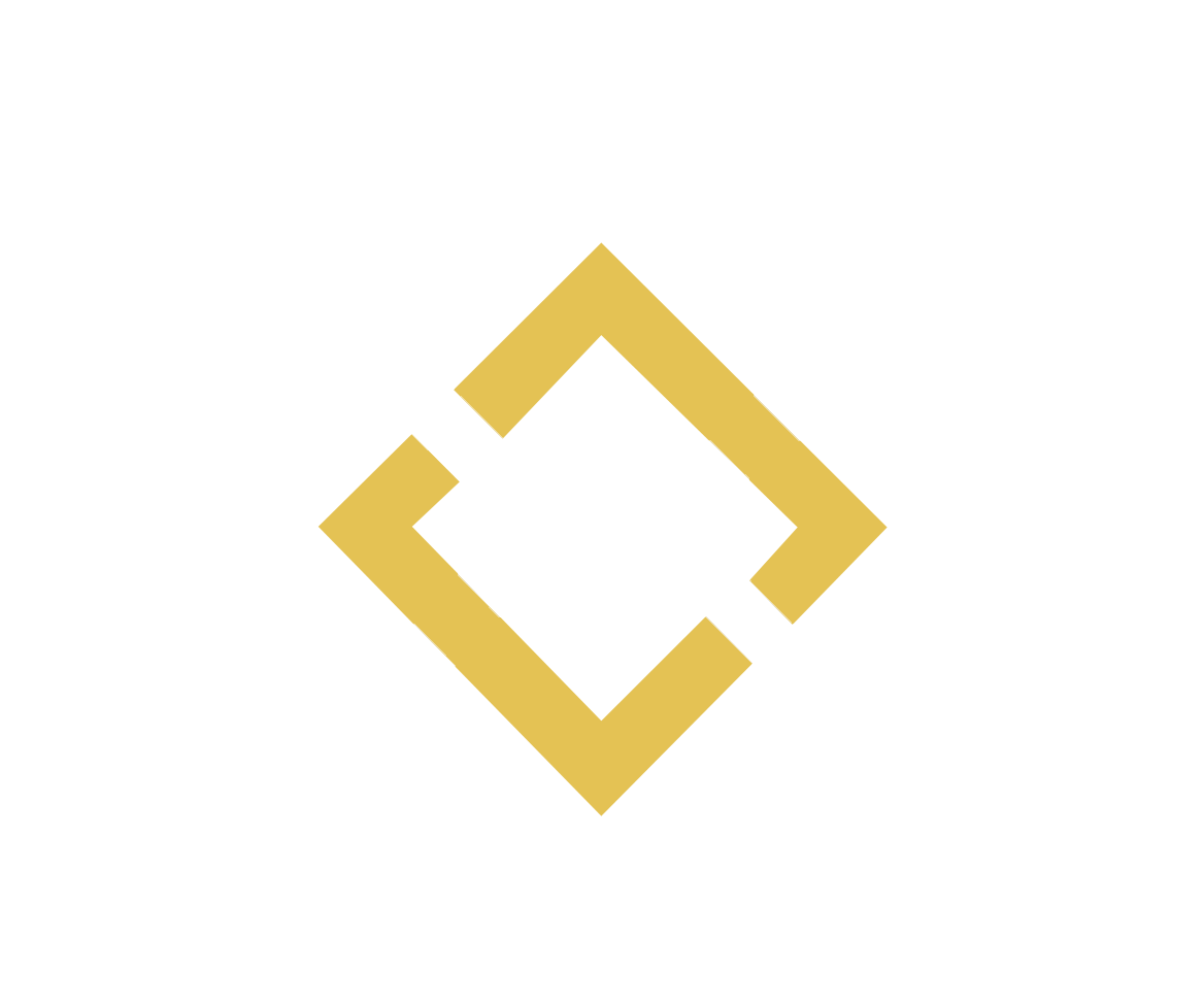 Carabinieri Security Company